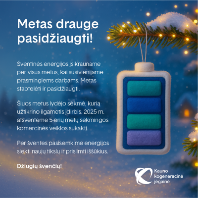 Kaip atrodė mūsų 2025-ieji? 